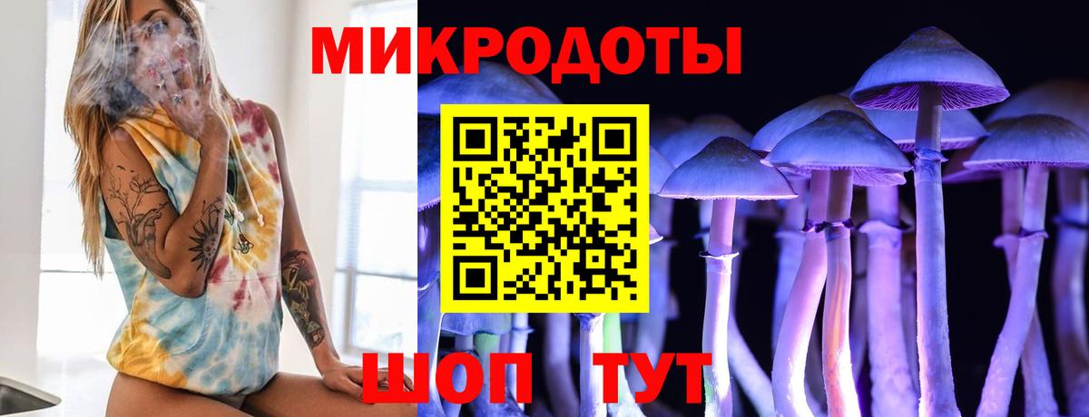 Новоуральск  Псилоцибиновые грибы GOLDEN TEACHER  Псилоцибиновые грибы ЛСД  Вход с VPN 